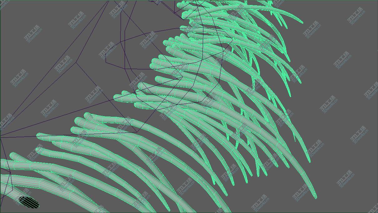 images/goods_img/202104022/Eyelashes & Eyebrows Rigged/2.jpg